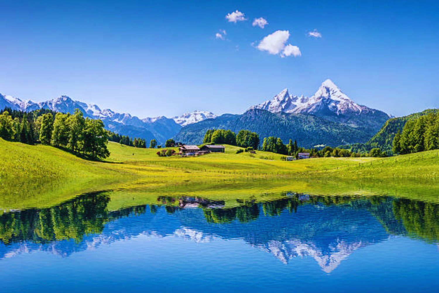 Noch frostige Nächte in Berlin – aber ab diesem Tag hält der Sommer Einzug