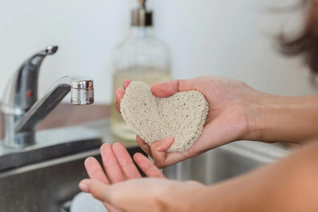 Gizmodo Miton