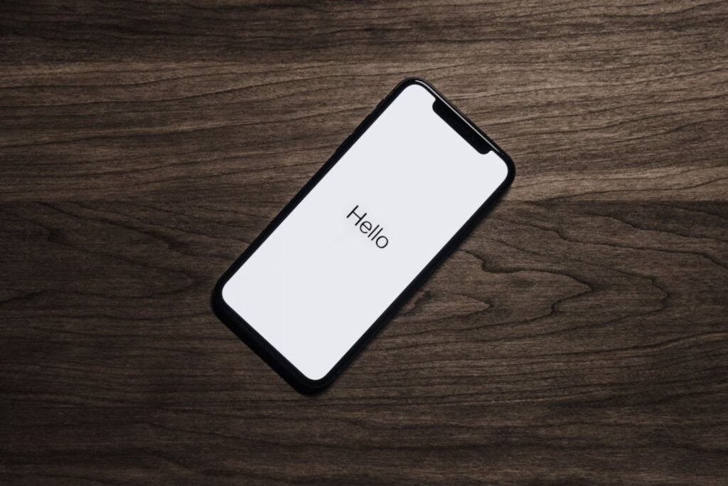 Gizmodo Miton (5)