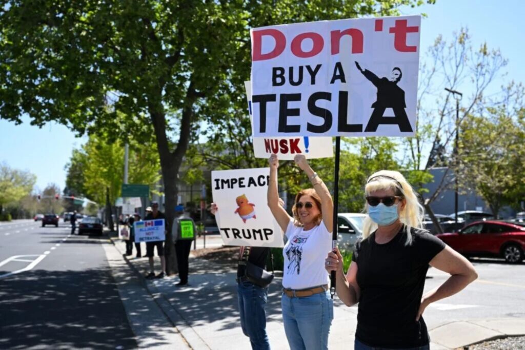 Sol Gizmodo Musk Silicon