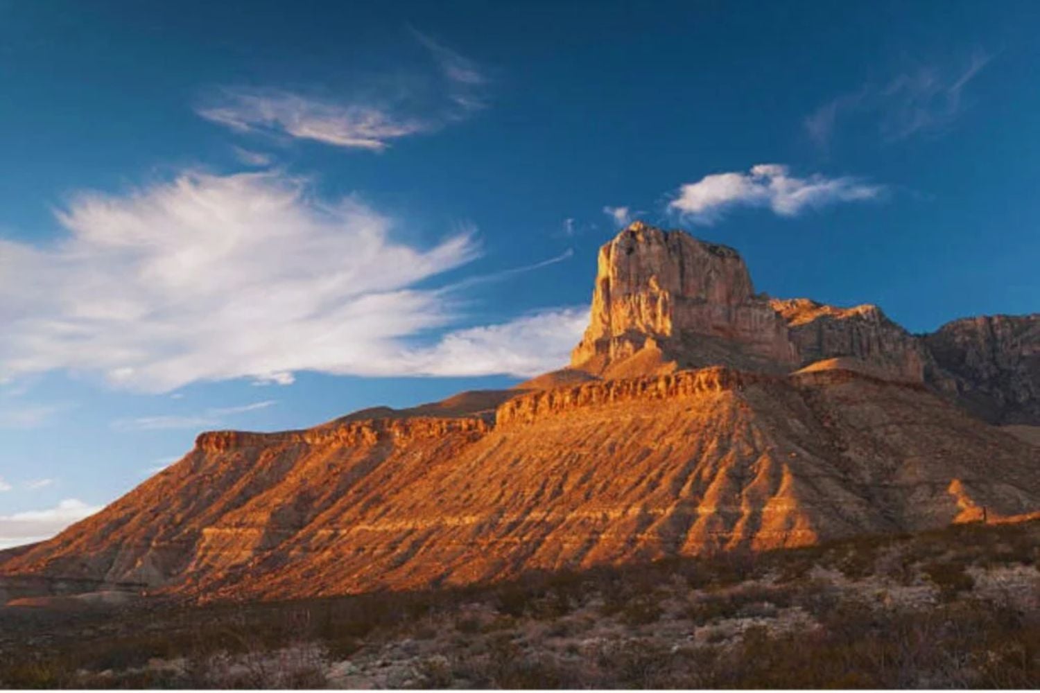 Die Berge, die ein uraltes Meer verbergen: Riesige Fossilien und eine Reise in die Vergangenheit Amerikas