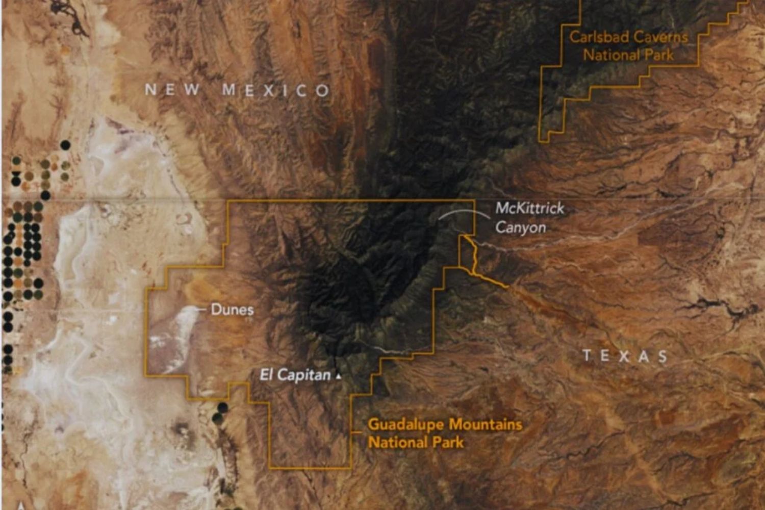 Die Berge, die ein uraltes Meer verbergen: Riesige Fossilien und eine Reise in die Vergangenheit Amerikas