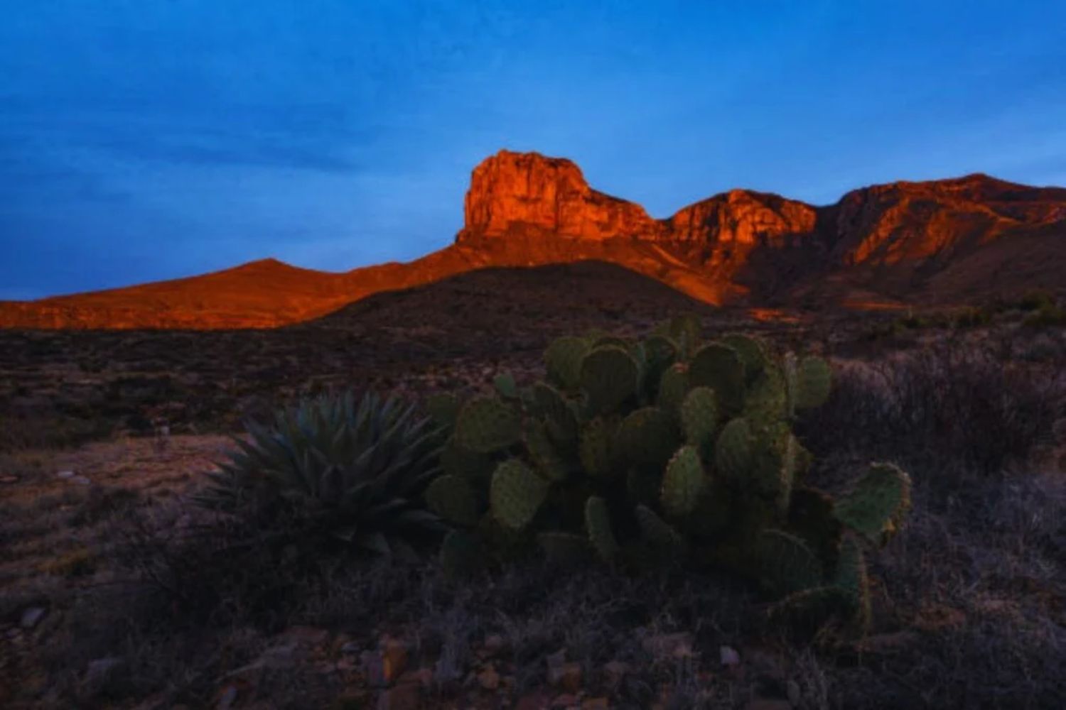 Die Berge, die ein uraltes Meer verbergen: Riesige Fossilien und eine Reise in die Vergangenheit Amerikas
