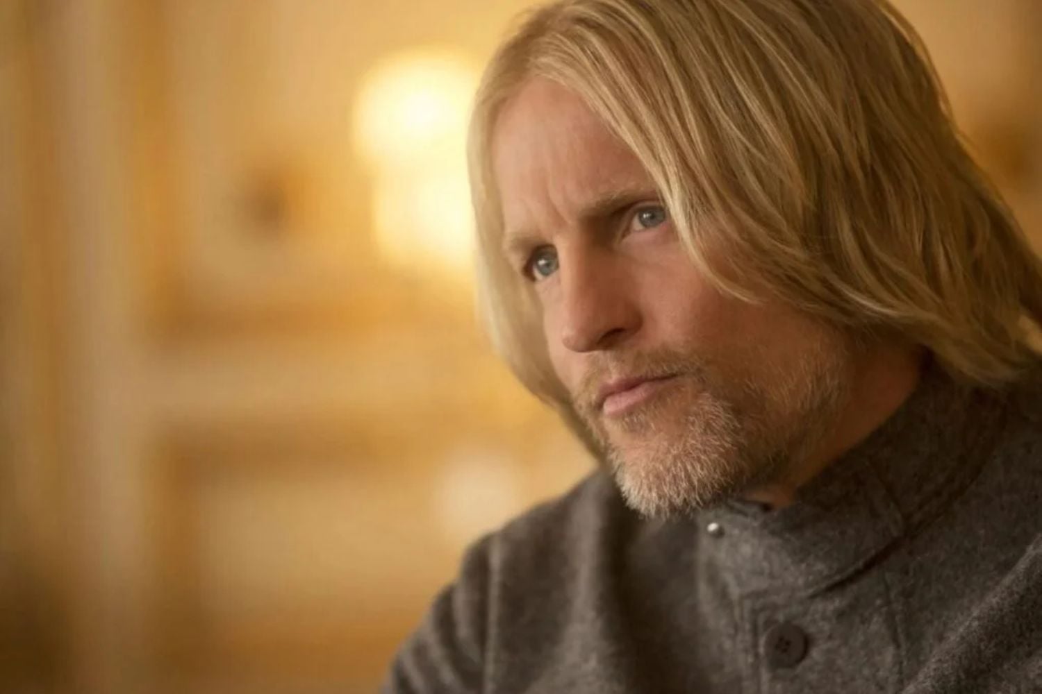 Woody Harrelson als der ältere Haymitch.