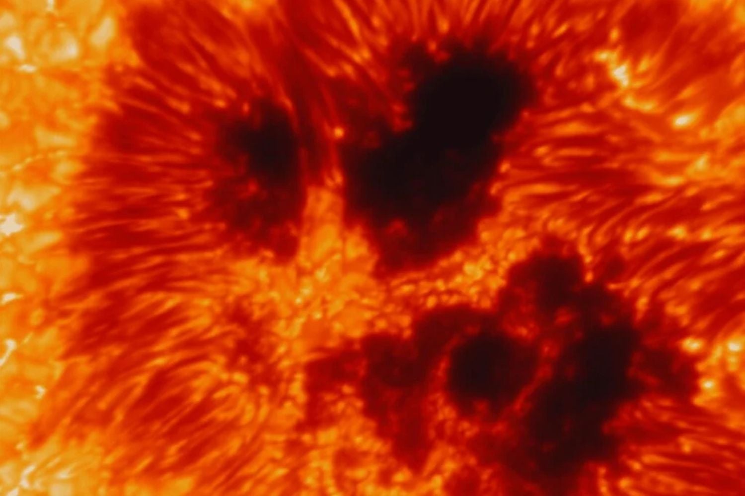 Die Sonne wie nie zuvor gesehen: Die ersten Bilder des größten Sonnenteleskops der Welt