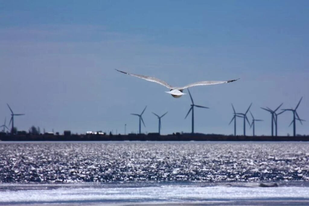 Das unsichtbare Problem des „Winddiebstahls“: Wie ein Naturphänomen weltweit Spannungen in der erneuerbaren Energie auslöst