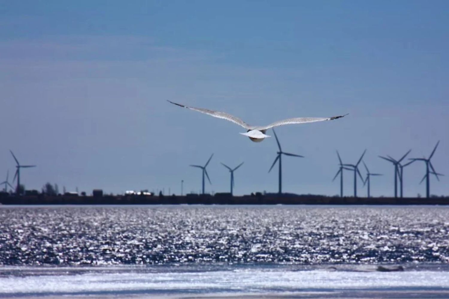 Das unsichtbare Problem des „Winddiebstahls“: Wie ein Naturphänomen weltweit Spannungen in der erneuerbaren Energie auslöst