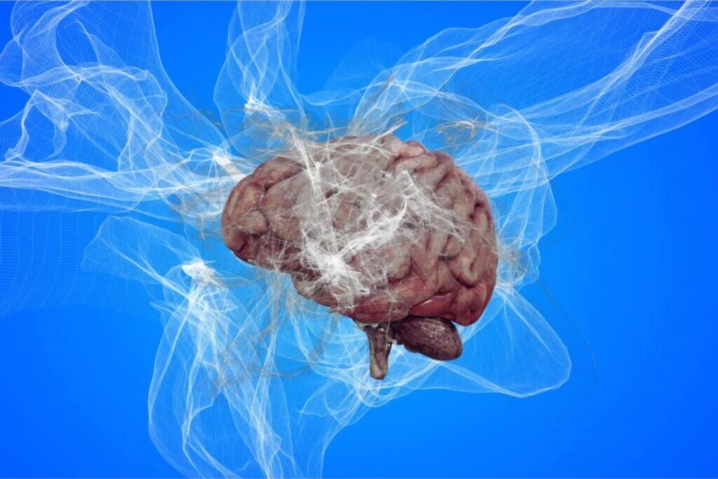 Ein neuer Blick auf das verletzte Gehirn: Die Methode, die traumatische Diagnosen revolutionieren könnte