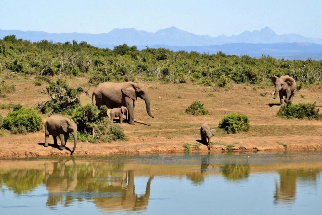 Afrika zerbricht… aber was verbirgt sich wirklich unter seinen Rissen?
