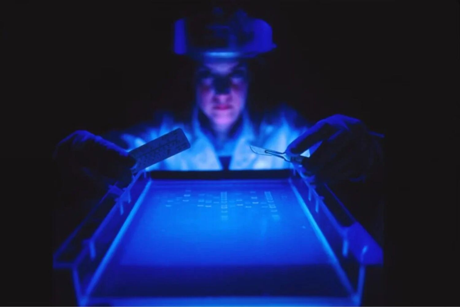 Ein historischer Durchbruch in der Genbearbeitung: Vollständige Gene lassen sich nun in menschliche Zellen einfügen – ganz ohne DNA-Schnitte