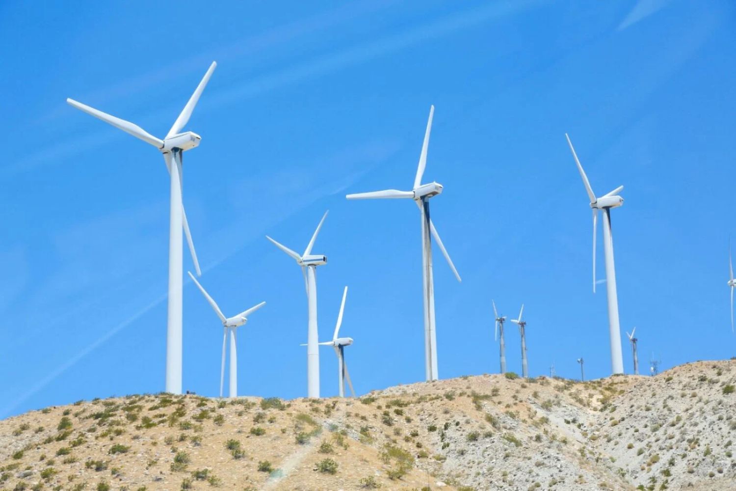 Ist alle saubere Energie wirklich grün? Entdecke den Unterschied, den kaum jemand kennt