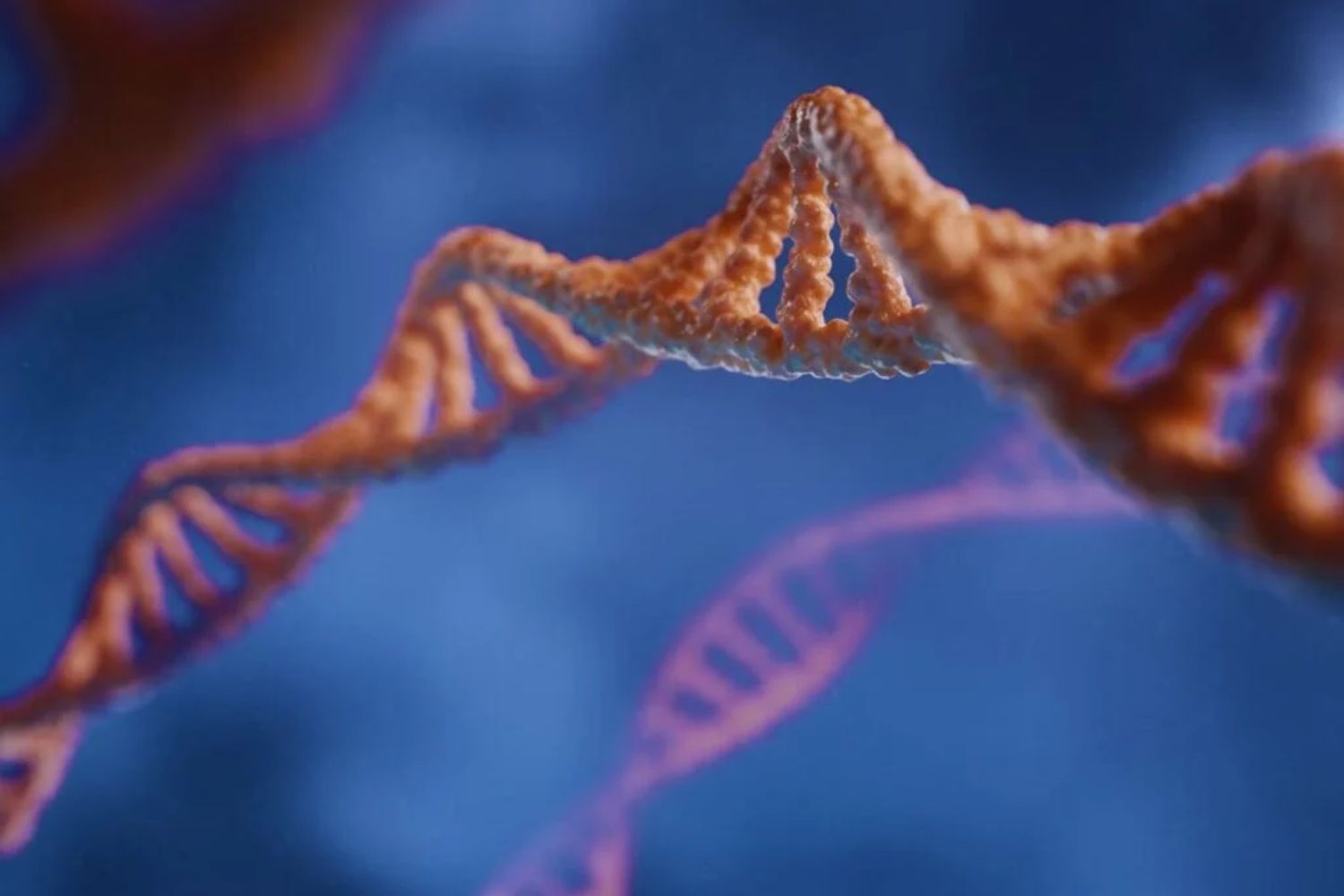Ein historischer Durchbruch in der Genbearbeitung: Vollständige Gene lassen sich nun in menschliche Zellen einfügen – ganz ohne DNA-Schnitte