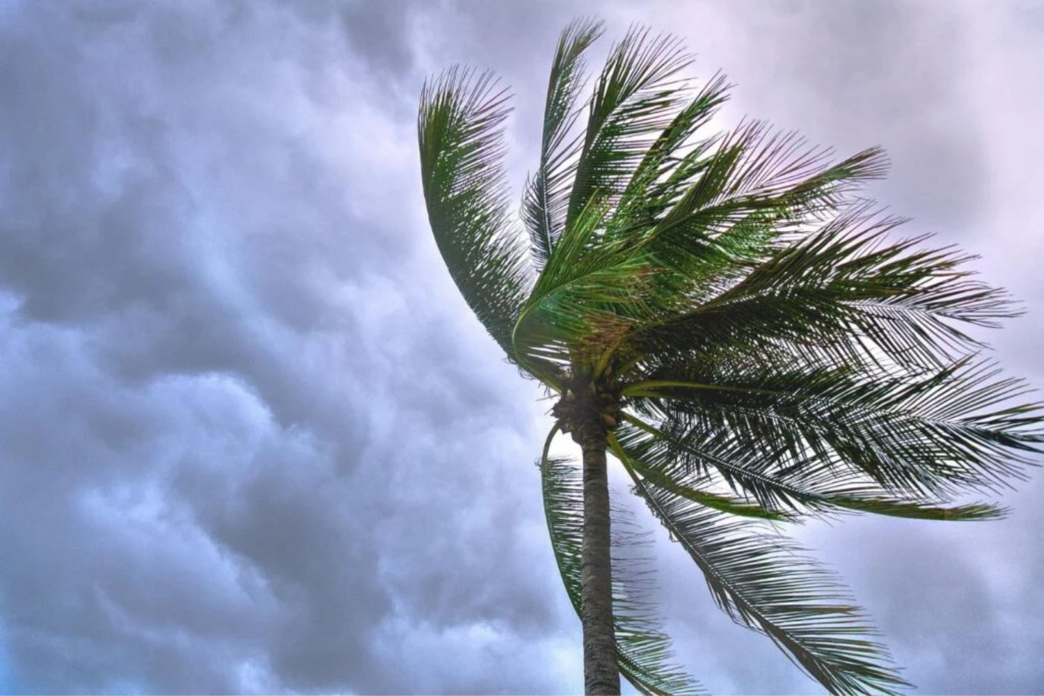 Was Gewitter verbergen: Warum der Himmel leuchtet, donnert und riesige Hagelkörner fallen lässt