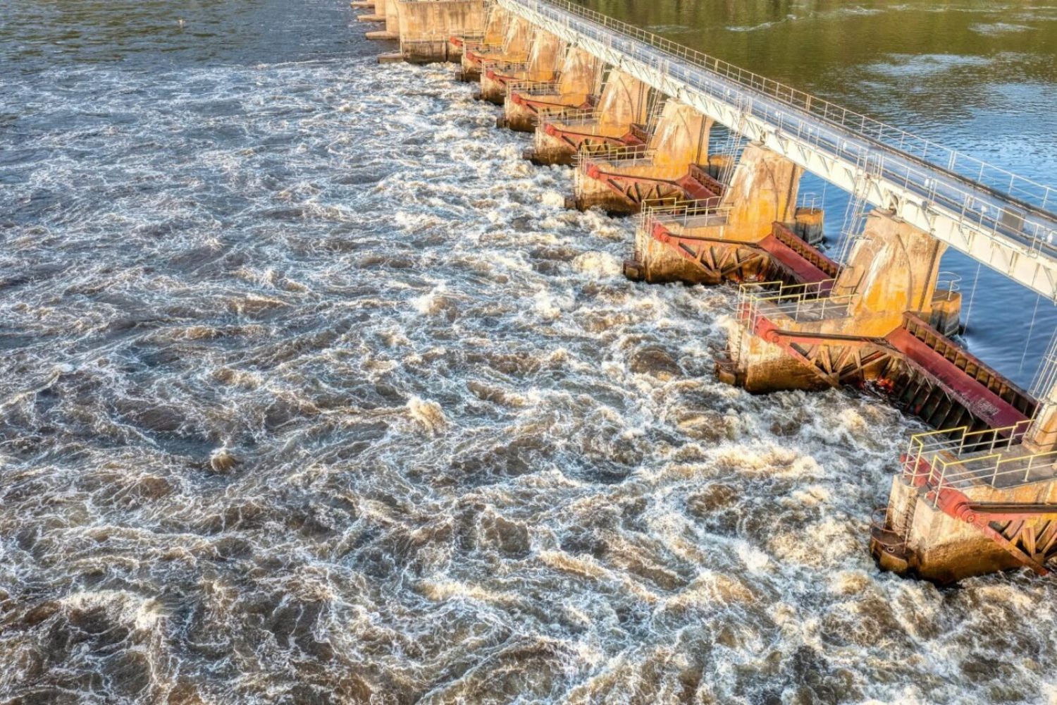 Ist alle saubere Energie wirklich grün? Entdecke den Unterschied, den kaum jemand kennt