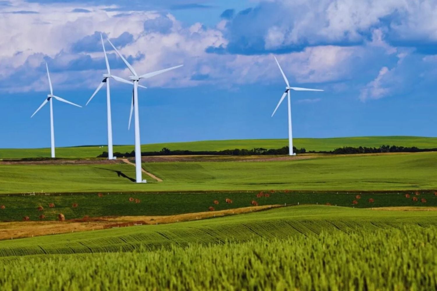 Das unsichtbare Problem des „Winddiebstahls“: Wie ein Naturphänomen weltweit Spannungen in der erneuerbaren Energie auslöst