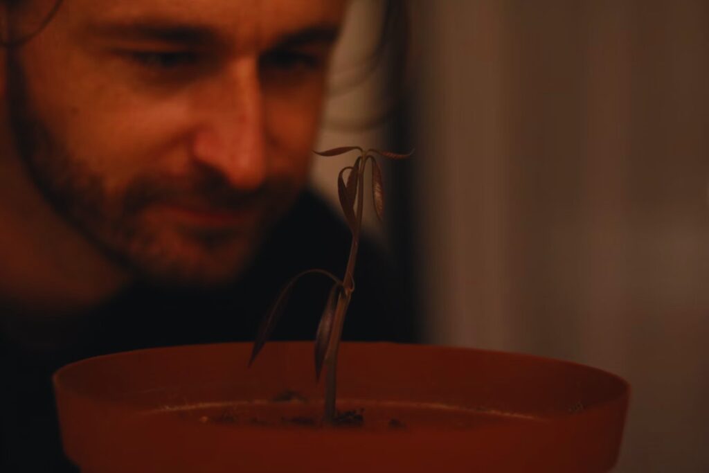 Ein seltsames Gewürz vertreibt die Ameisen – aber warum wirkt es so gut?