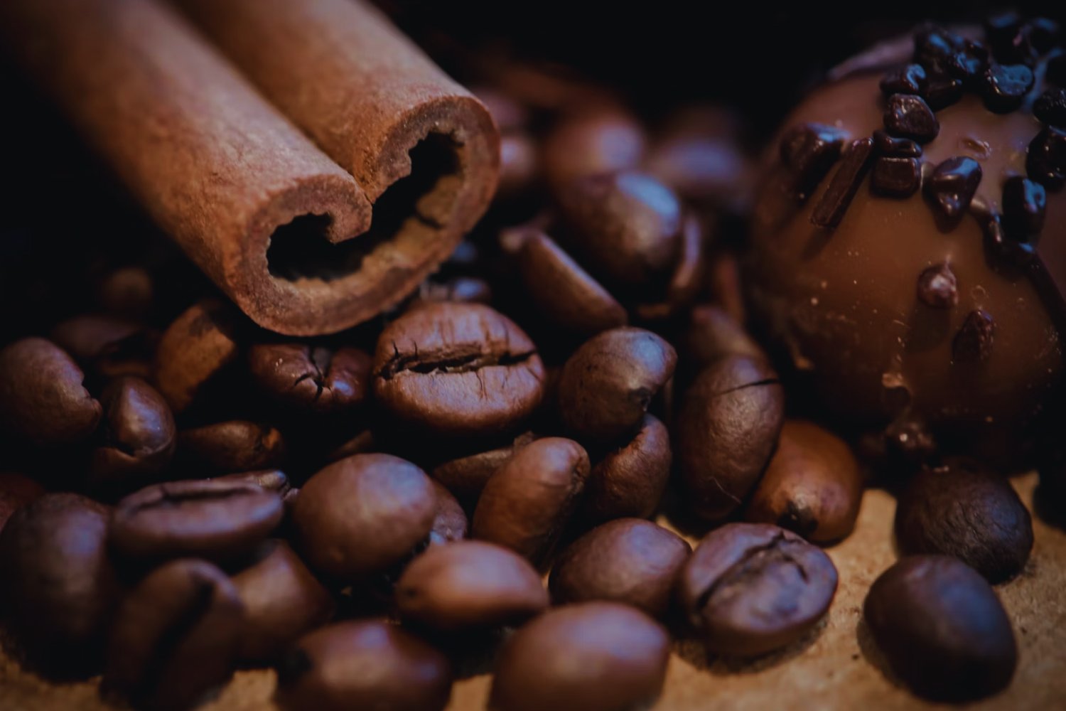 Ein seltsames Gewürz vertreibt die Ameisen – aber warum wirkt es so gut?