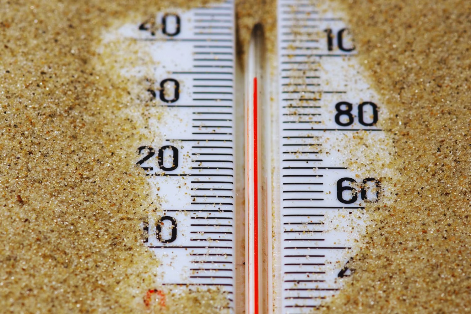 Deutschland droht der Dürre-Kollaps – und kaum jemand ist vorbereitet