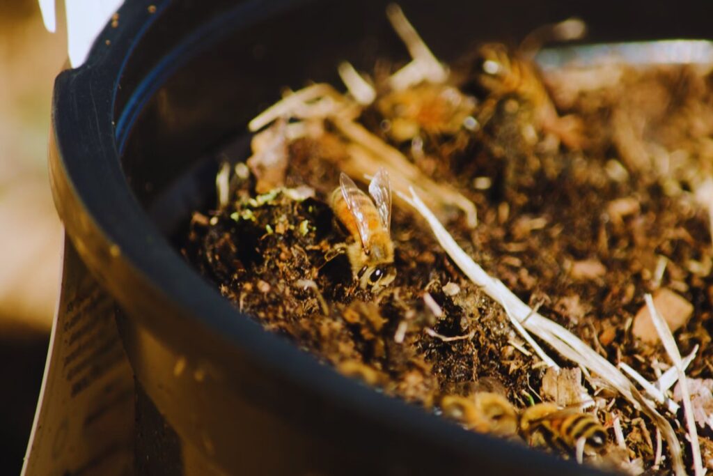 Warum plötzlich alles schimmelt – und was Sie jetzt unbedingt tun sollten