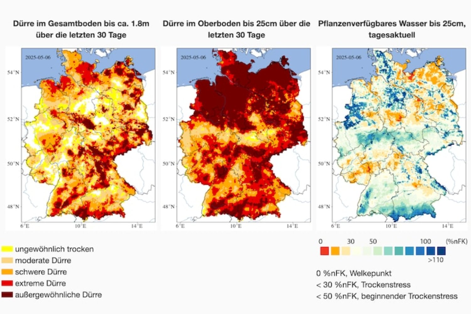 Deutschland droht der Dürre-Kollaps – und kaum jemand ist vorbereitet