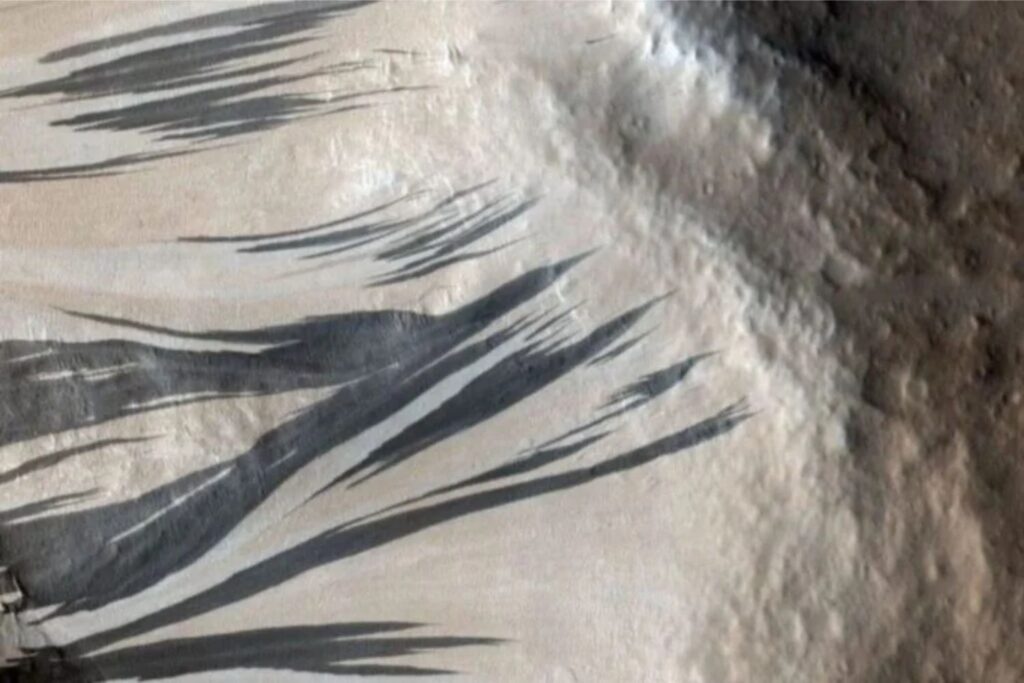 Agu