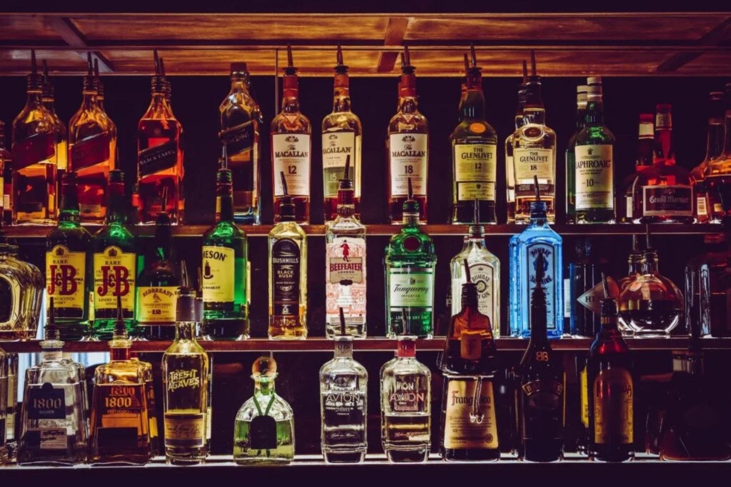 Was Alkohol mit dem Gehirn macht (und was dir niemand sagt)