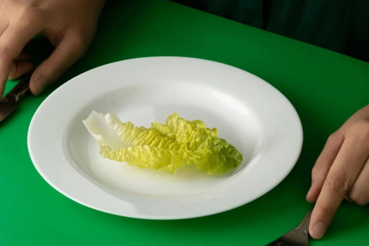 Und wenn Essen kein Genuss mehr wäre? Der beunruhigende Trend, sich wie Maschinen zu ernähren