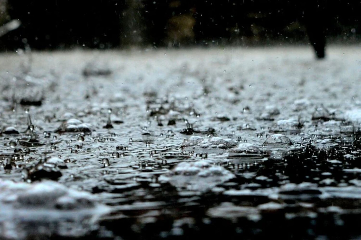 Lluvia 1