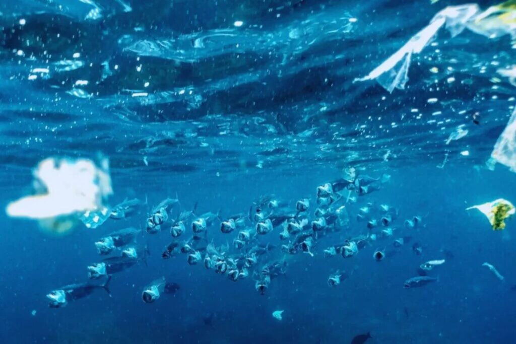 Der unsichtbare Eindringling: So kolonisieren Mikroplastikpartikel die Ozeane, die Luft… und deinen Körper