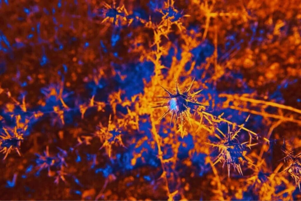 Neuronen, die die Zukunft vorhersagen: Kann das Gehirn antizipieren, was es noch nicht erlebt hat?