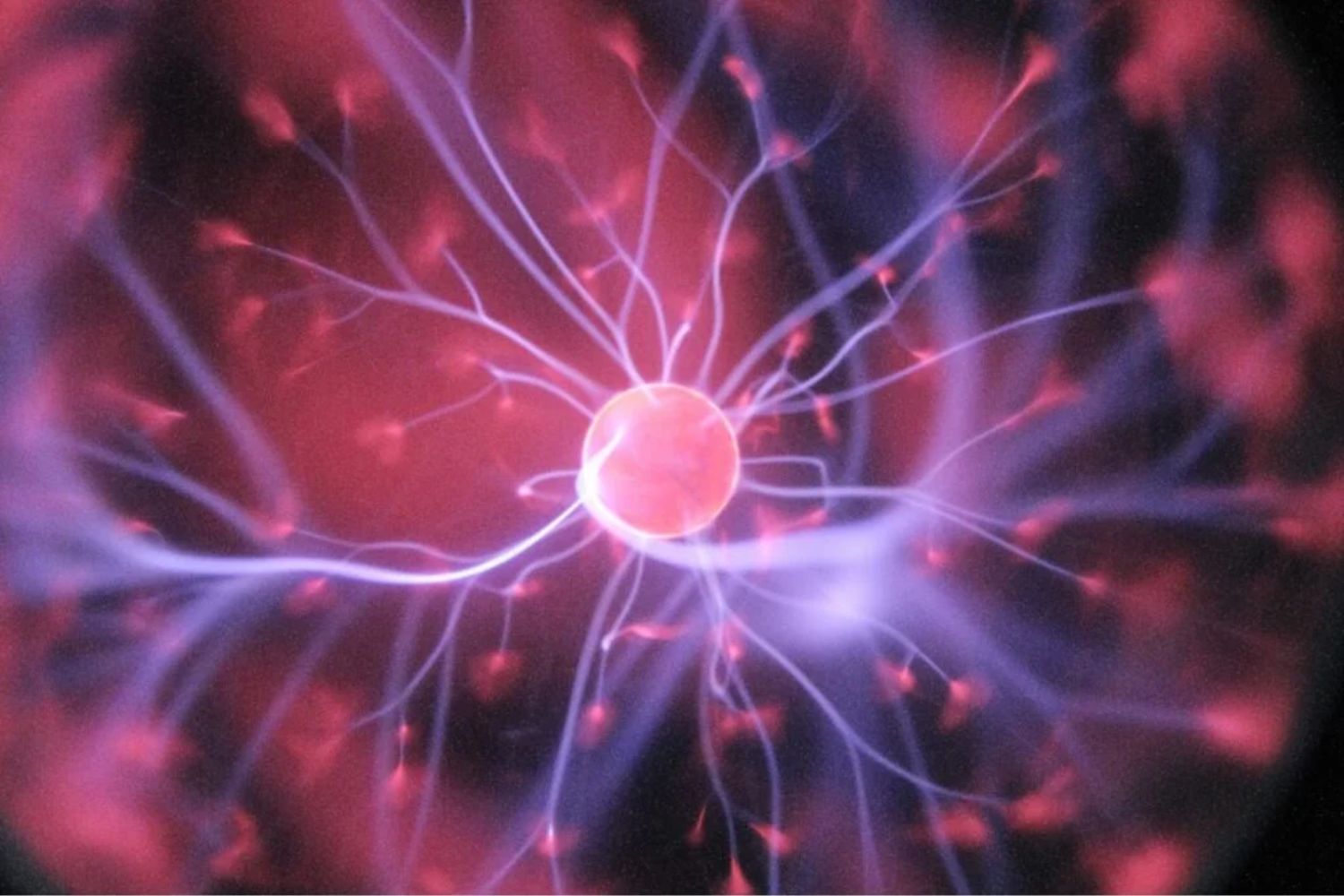 Neuronen, die die Zukunft vorhersagen: Kann das Gehirn antizipieren, was es noch nicht erlebt hat?