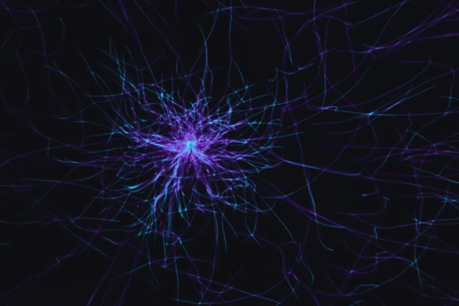 Neuronen, die die Zukunft vorhersagen: Kann das Gehirn antizipieren, was es noch nicht erlebt hat?