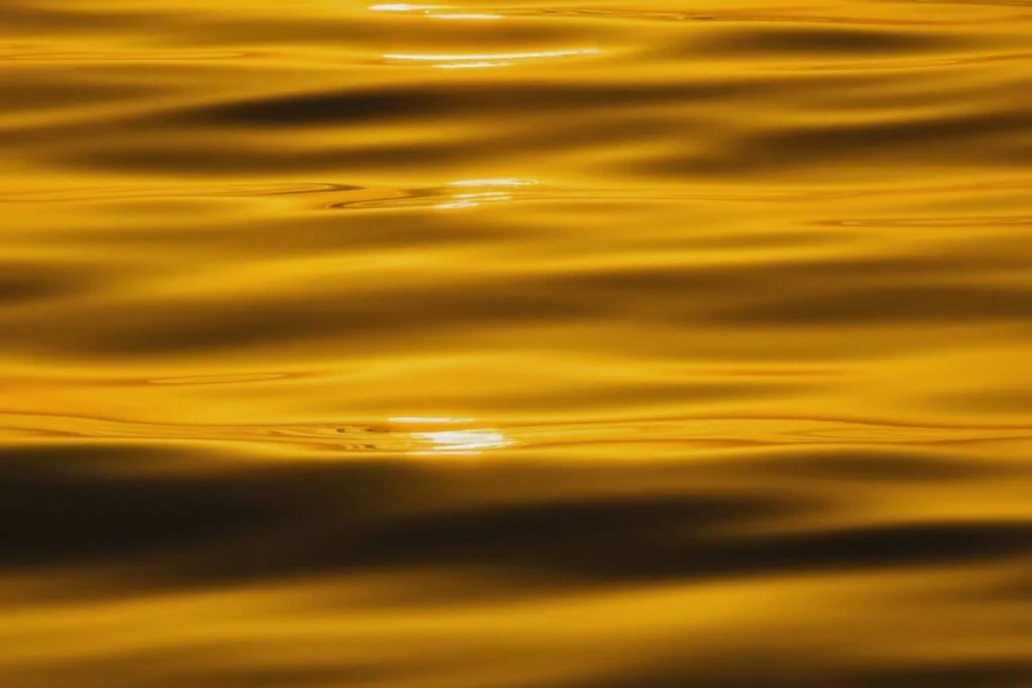 Die Entdeckung des Jahrhunderts: Ein Fluss voller Gold... und er gehört nur einem Land