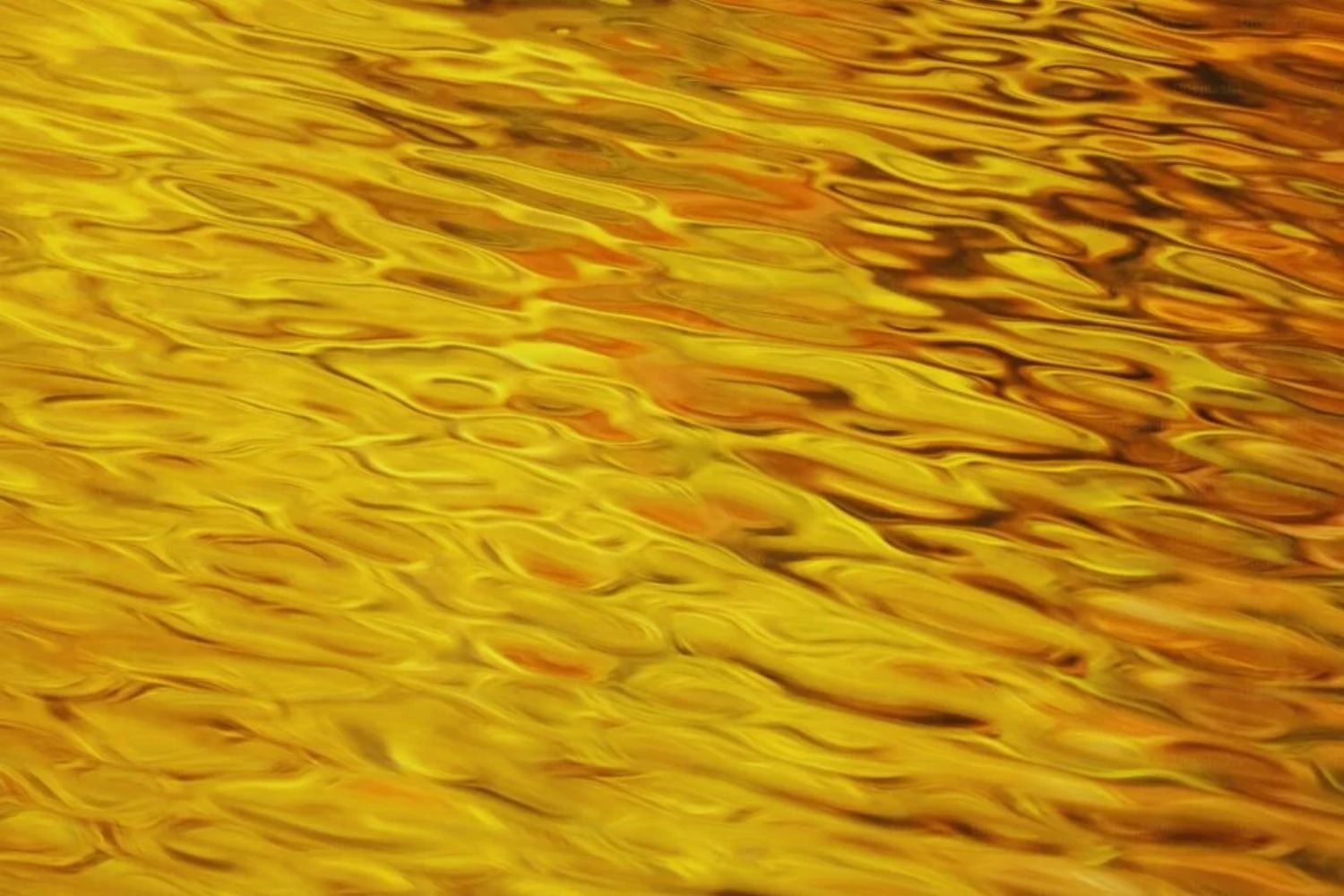 Die Entdeckung des Jahrhunderts: Ein Fluss voller Gold... und er gehört nur einem Land