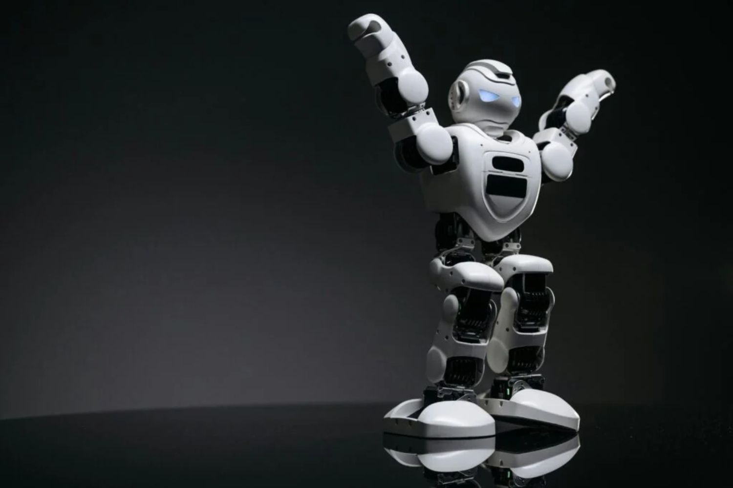 Gizmodo Miton